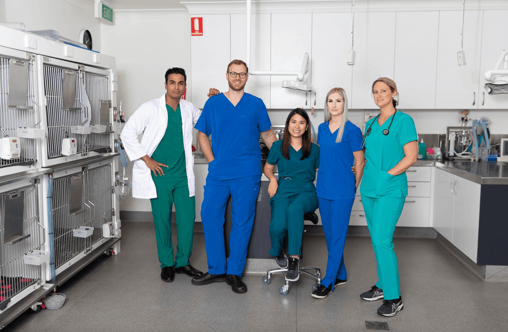 Best Nursing Scrubs in Australia for Summer Comfort - Infectious Clothing Co best supplier of scrubs