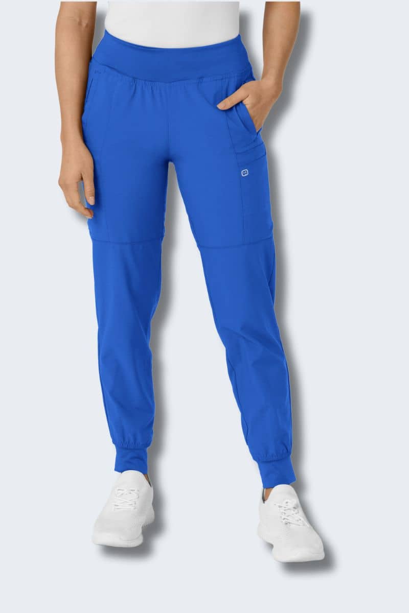 WonderWink Pull-on Cargo Pant Pantaloni Medici Scrubs, Melanzana, XL Donna