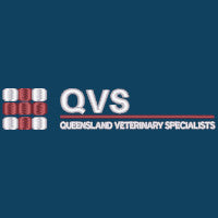 QVS Queensland Veterinary Specialists ID Q-010,Infectious Clothing Company